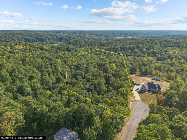 0 Ridgewood Dr, Mc Ewen TN, 37101 land for sale