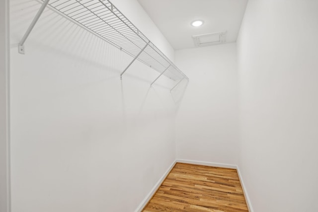 spacious closet featuring hardwood / wood-style flooring