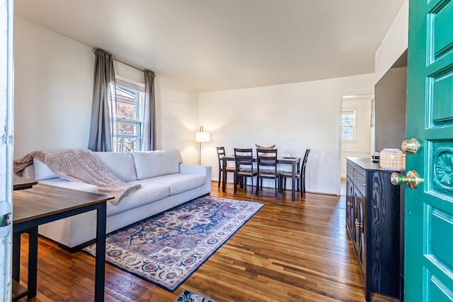 living room featuring dark hardwood / wood-style flooring