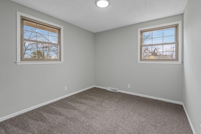 carpeted spare room with plenty of natural light and a textured ceiling