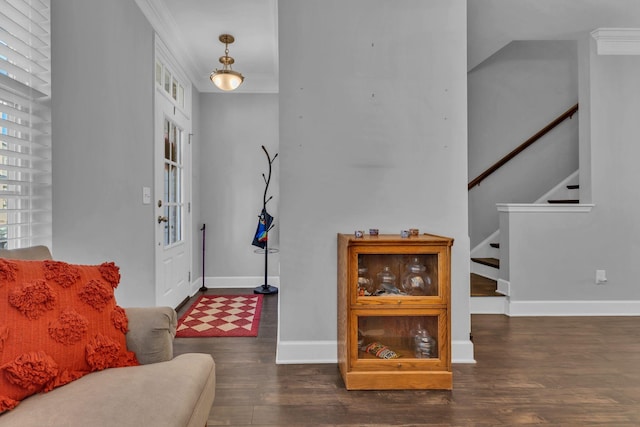 foyer entrance featuring dark hardwood / wood-style flooring and crown molding