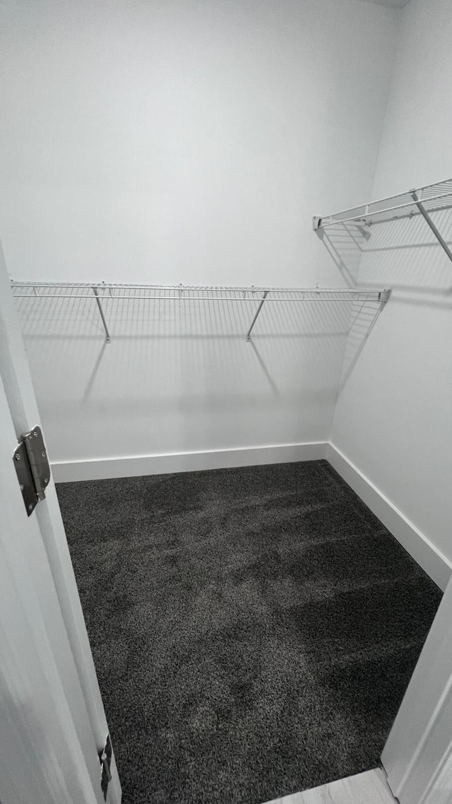 walk in closet with carpet