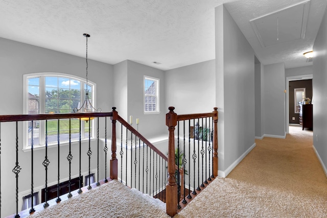 corridor featuring carpet flooring, a wealth of natural light, and a textured ceiling