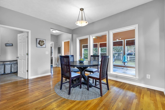 dining area with ceiling fan, a textured ceiling, and hardwood / wood-style flooring