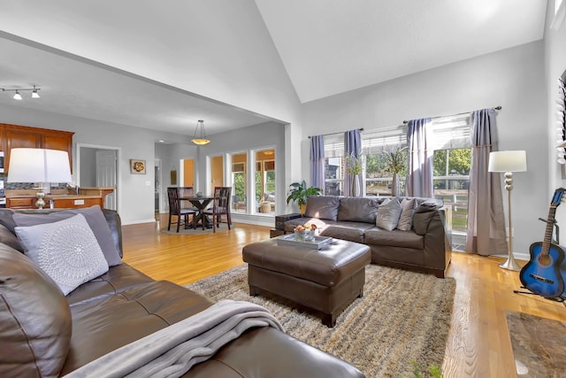 living room with light wood-type flooring and high vaulted ceiling