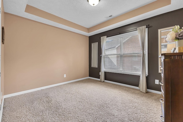 carpeted spare room featuring a raised ceiling and a textured ceiling