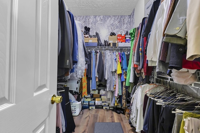 spacious closet featuring wood-type flooring