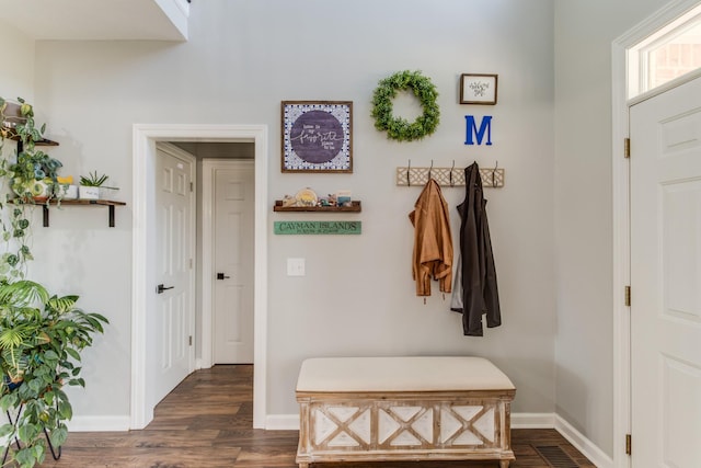 mudroom featuring dark hardwood / wood-style floors