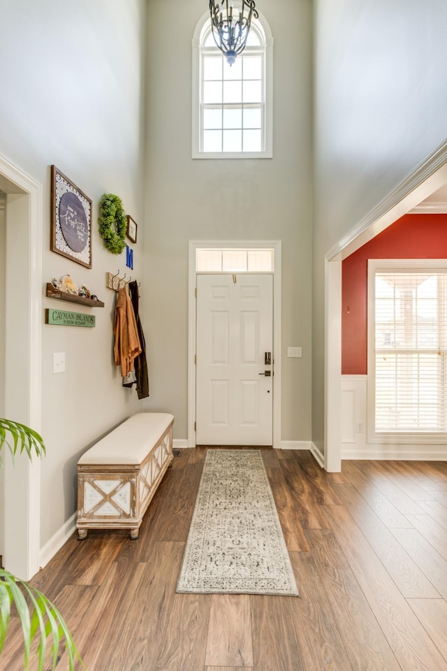 foyer entrance featuring a high ceiling, a notable chandelier, and dark hardwood / wood-style flooring