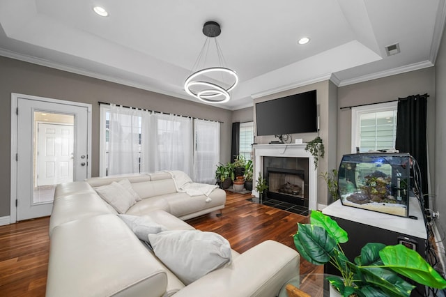 living room featuring dark hardwood / wood-style flooring, a tray ceiling, and a healthy amount of sunlight