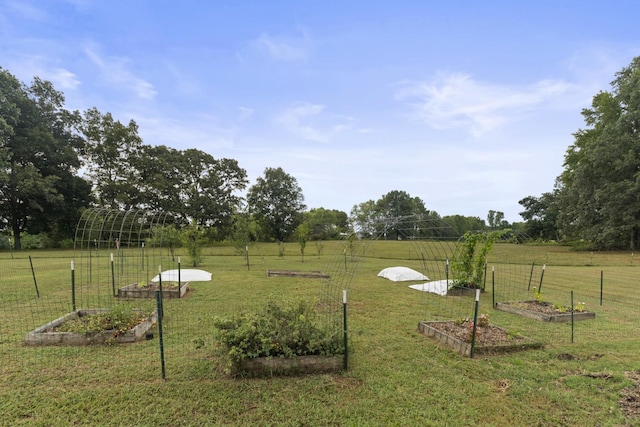 view of yard with a rural view