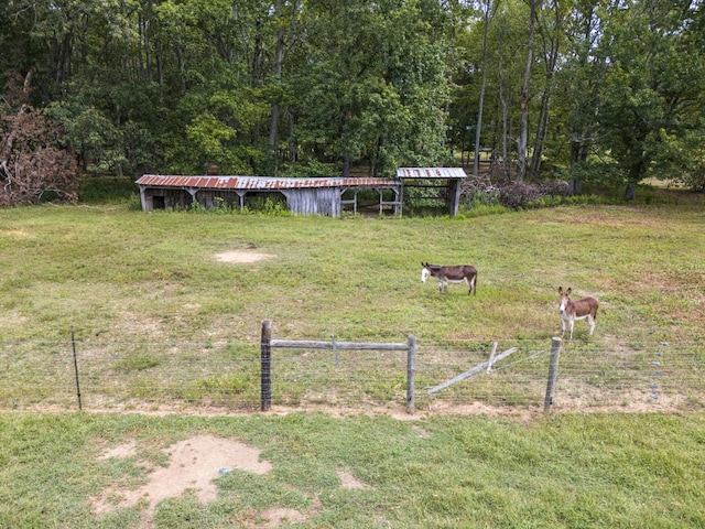 view of yard with a rural view