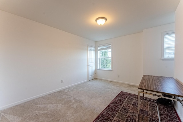 interior space with light colored carpet