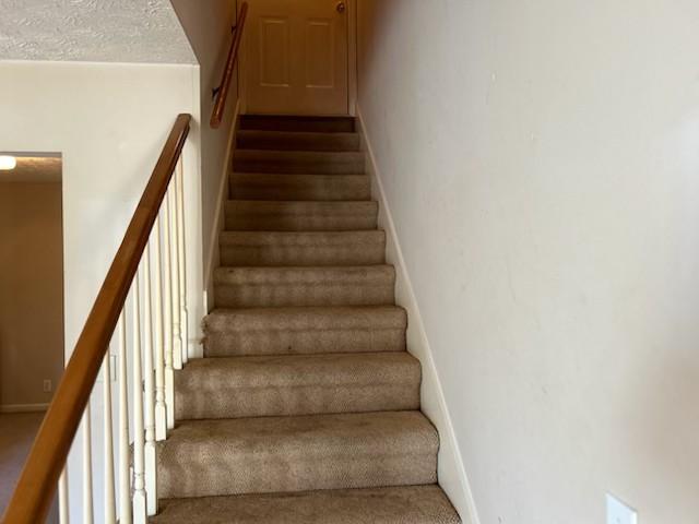 staircase featuring carpet flooring and a textured ceiling