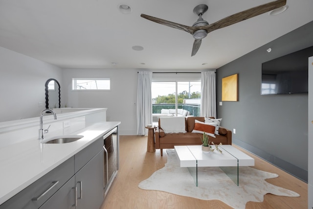 interior space featuring gray cabinetry, sink, wine cooler, ceiling fan, and light hardwood / wood-style floors