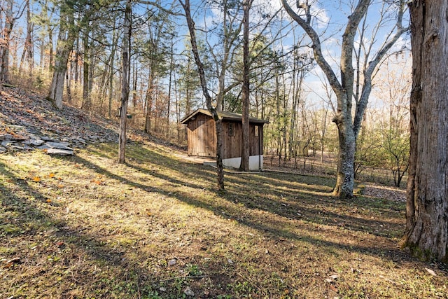 view of yard featuring a storage shed