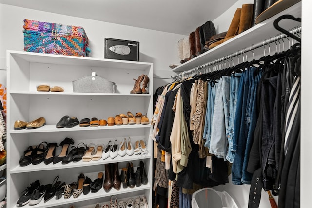 view of spacious closet