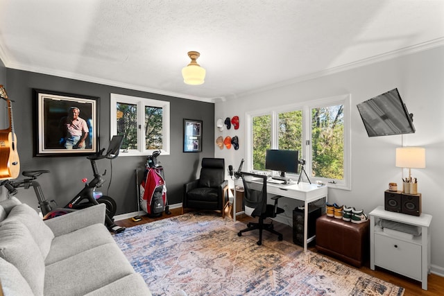 home office featuring hardwood / wood-style floors, a textured ceiling, and ornamental molding