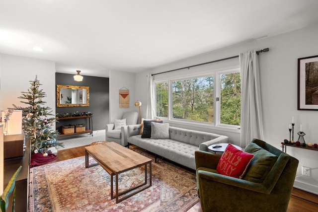 living room with hardwood / wood-style flooring