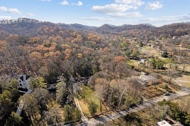 drone / aerial view featuring a mountain view