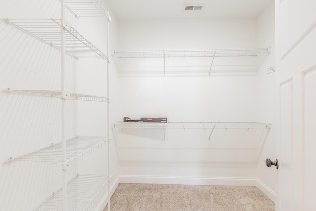 walk in closet with light carpet