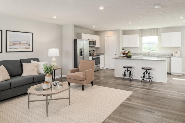 living room featuring light hardwood / wood-style floors and sink