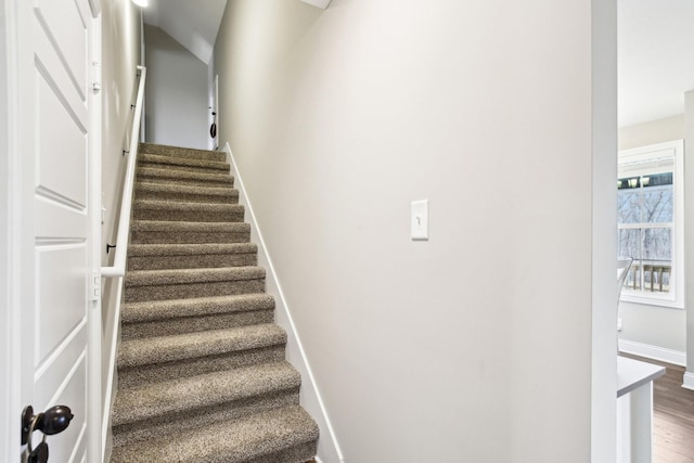 stairway with hardwood / wood-style flooring