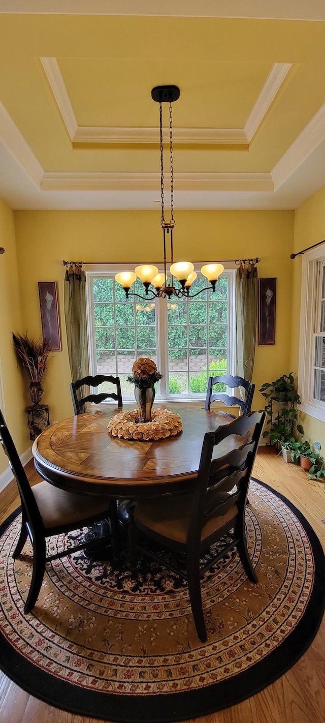 dining space featuring hardwood / wood-style flooring, a tray ceiling, and plenty of natural light