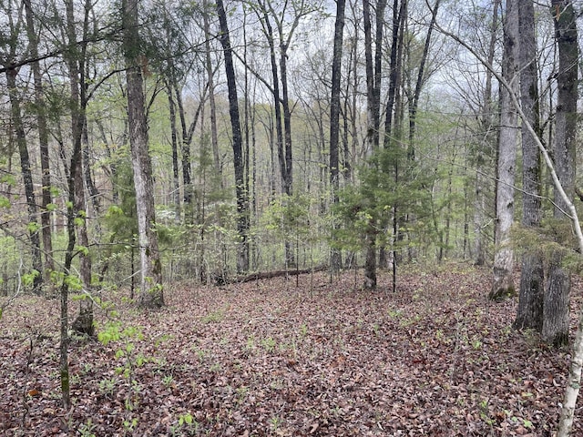 Listing photo 2 for 0 Eagle Creek Ct, Nunnelly TN 37137