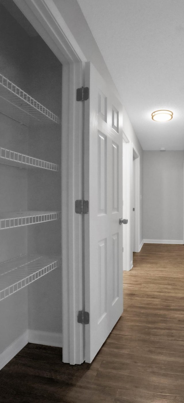 corridor with dark hardwood / wood-style floors