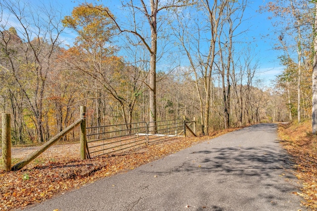 608 Leath Chapel Rd, Bethpage TN, 37022 land for sale