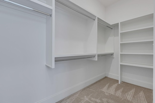 walk in closet featuring light colored carpet