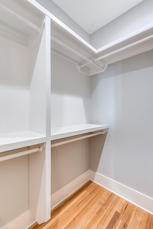 walk in closet with wood-type flooring