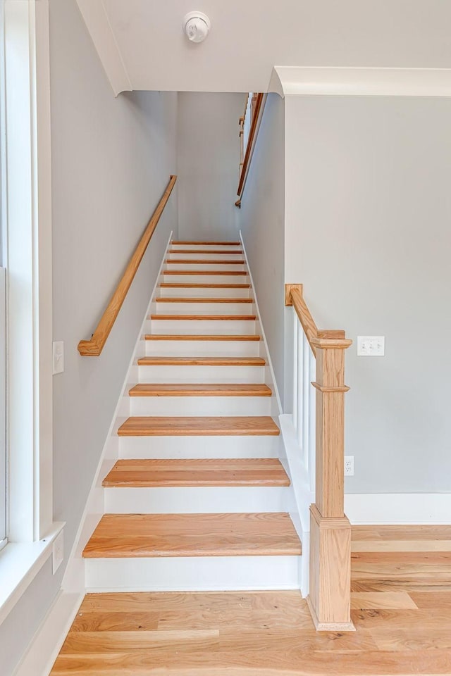 stairs with hardwood / wood-style floors and ornamental molding