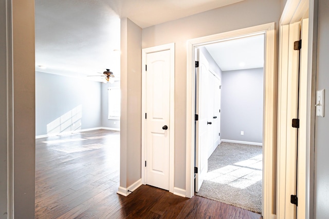 hall featuring dark hardwood / wood-style floors