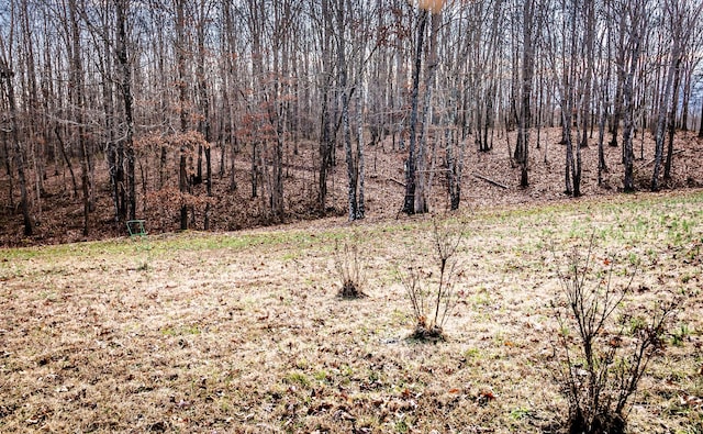 view of local wilderness