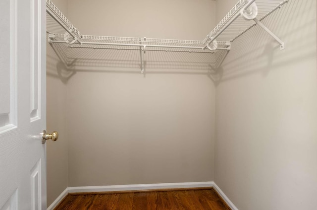 spacious closet with dark hardwood / wood-style flooring