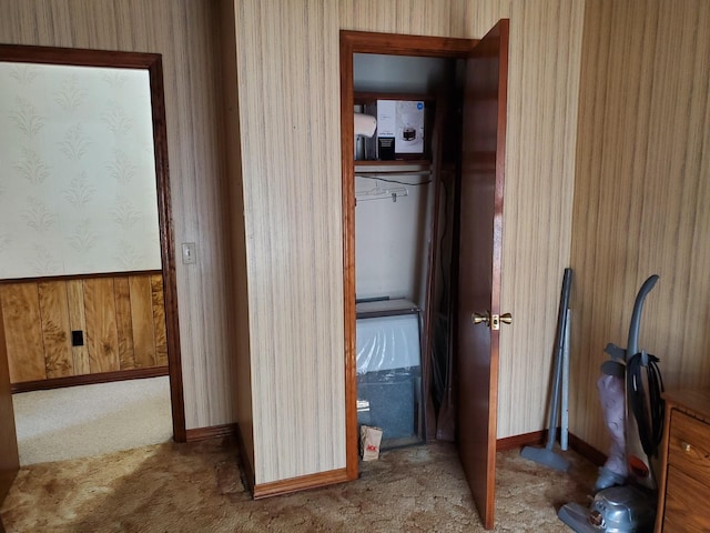 2055 Chisholm Rd, Iron City, TN 38463 - view of closet
