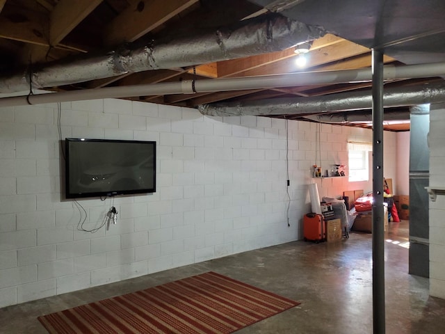 2055 Chisholm Rd, Iron City, TN 38463 - basement featuring concrete block wall