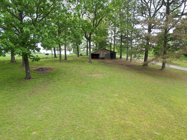 2055 Chisholm Rd, Iron City, TN 38463 - view of green lawn with an outbuilding