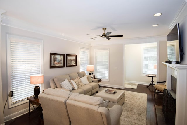 living room featuring a healthy amount of sunlight, crown molding, ceiling fan, and dark wood-type flooring