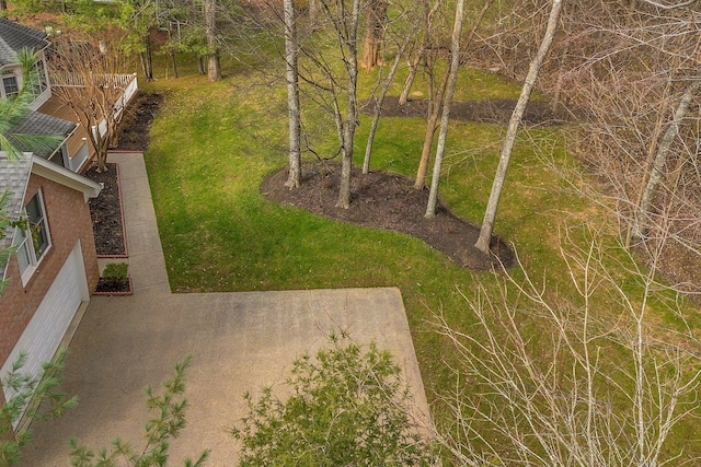 view of yard with a patio area