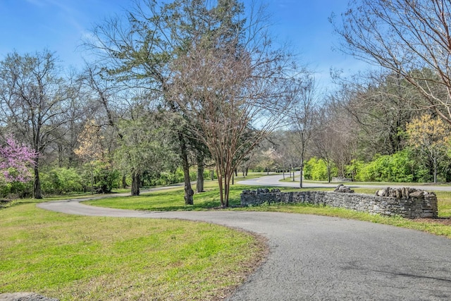 view of property's community featuring a lawn