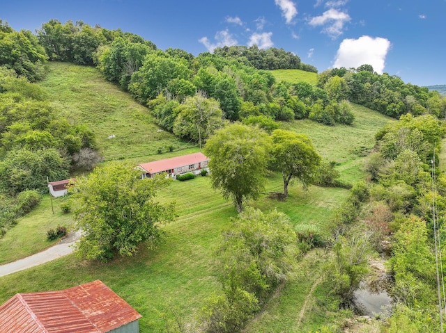 aerial view with a rural view