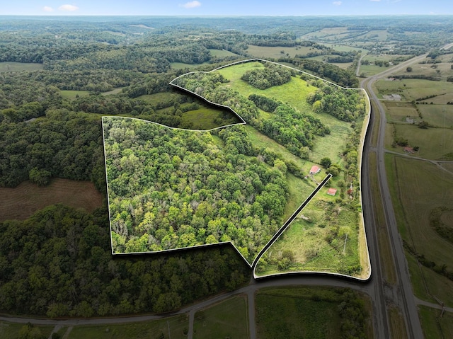 11 Cathcart Rd, Frankewing, TN 38459 - birds eye view of property