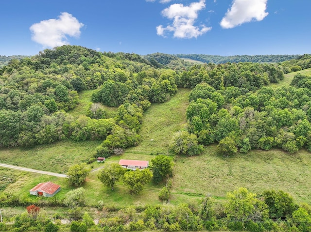 drone / aerial view featuring a rural view