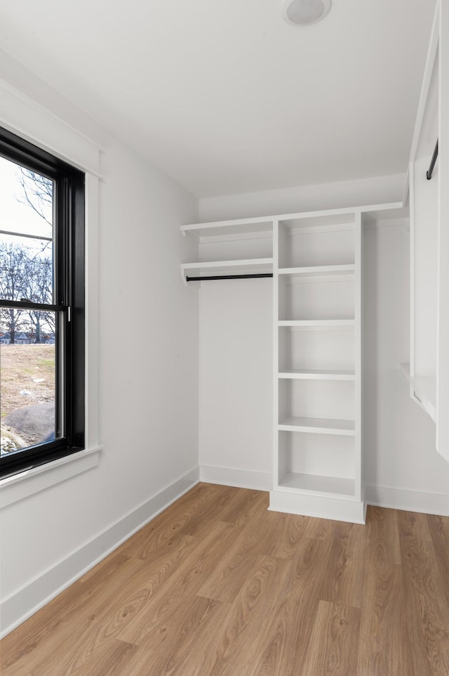 spacious closet featuring light wood-type flooring