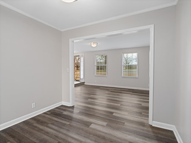 spare room featuring dark hardwood / wood-style flooring and ornamental molding