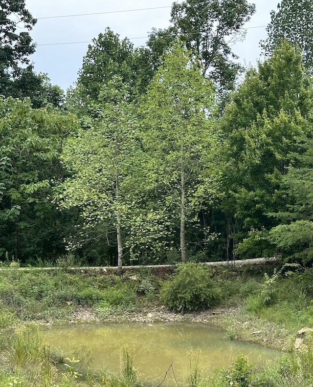 view of nature with a water view