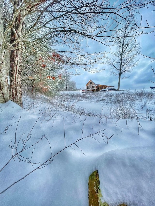 view of snowy yard